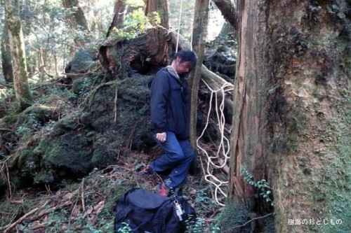 Aokigahara-forest-of-suicides-016